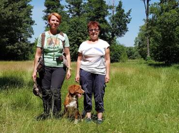 Working Testy w 2018