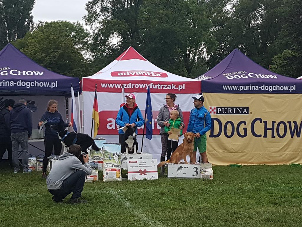 Latające psy - Warszawa 2017