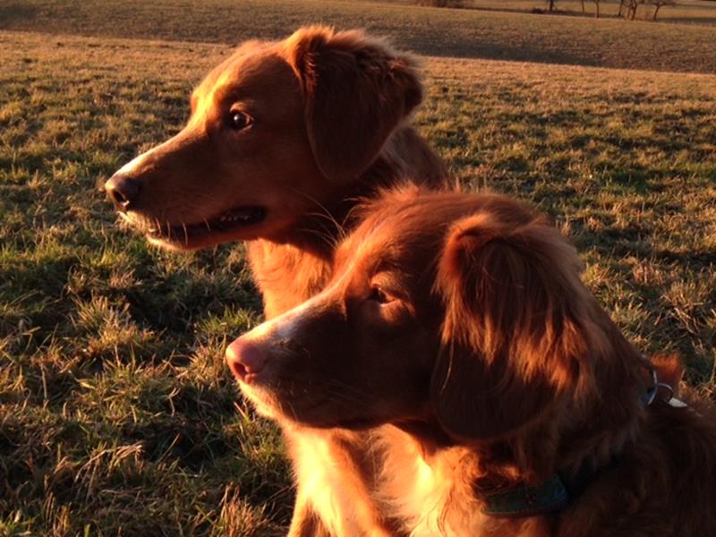 Randka: NELLY i HOKI