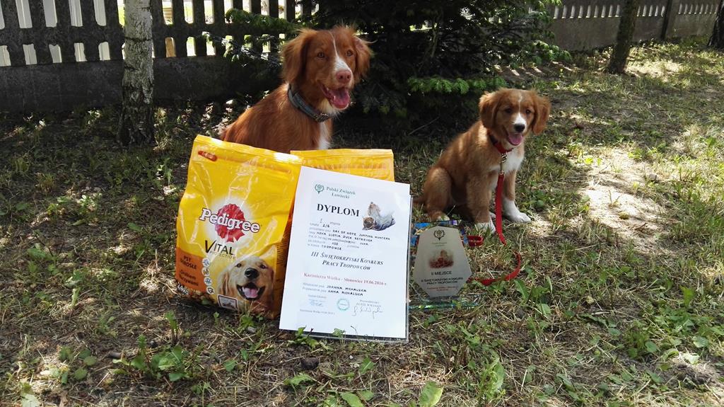 Konkurs Tropowców-Kazimierza Wielka-Słonowice
