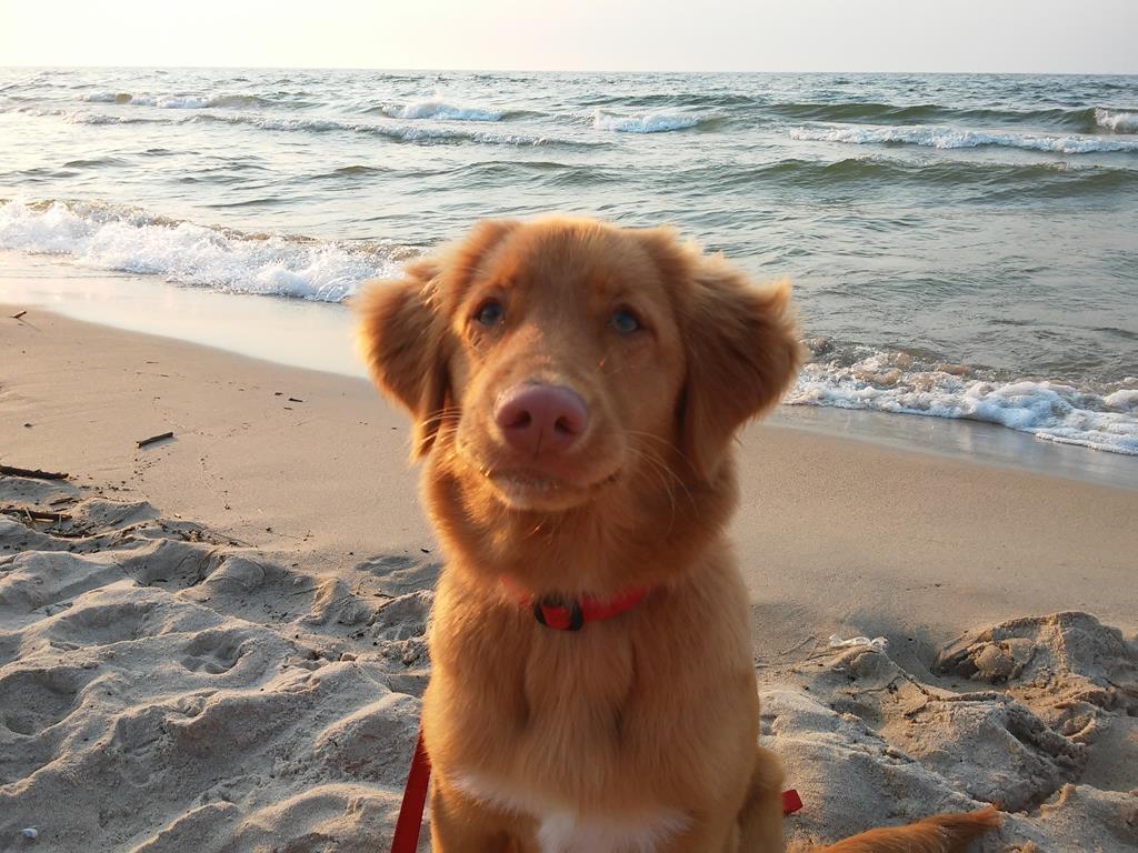 CHILLA-Młodzieżowym Championem Polski