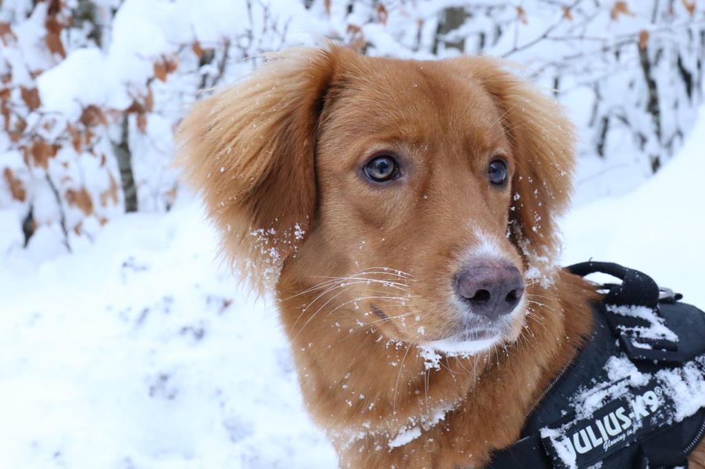 Dzieciaki NELLY i HOKIEGO